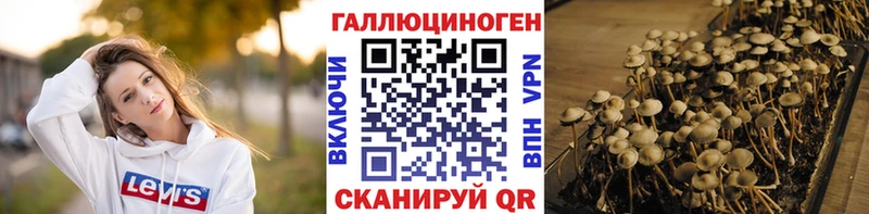 Галлюциногенные грибы Cubensis  что такое наркотик  Таруса 